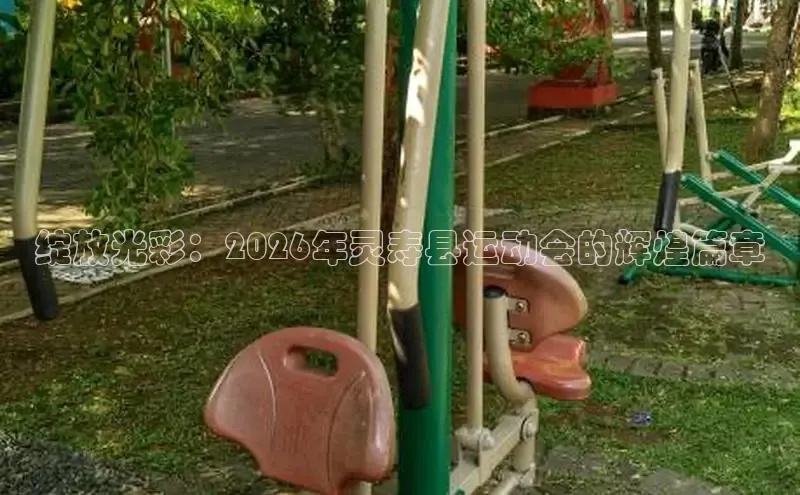 熊猫体育app官网入口