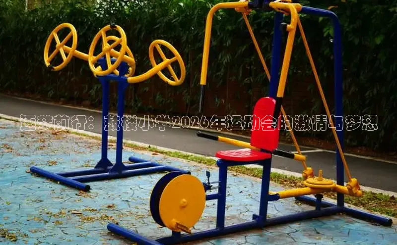 熊猫体育app官方入口